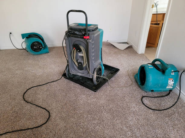 Water damage restoration mold remediation in Vandenberg Village, CA