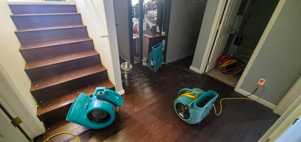 Best Sewage cleanup and water damage restoration  in Vandenberg Village, CA