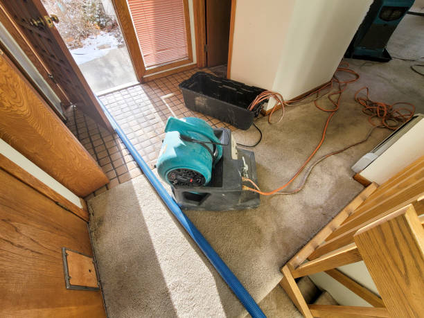 Best Water damage restoration company  in Vandenberg Village, CA