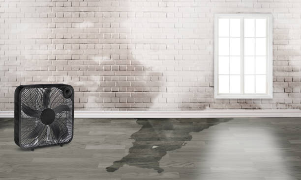Best Residential water damage restoration  in Vandenberg Village, CA