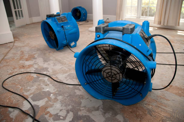 Best Water damage repair service  in Vandenberg Village, CA