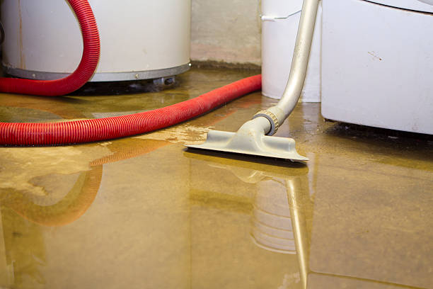 Best Water damage restoration mold remediation  in Vandenberg Village, CA