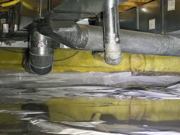 Best Water damage cleanup near me  in Vandenberg Village, CA