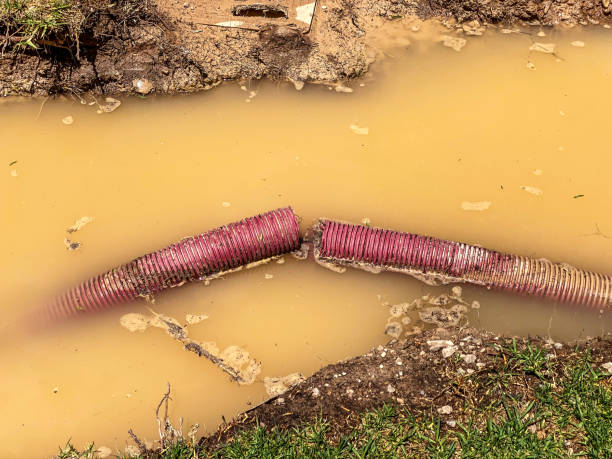 Best Local water damage restoration  in Vandenberg Village, CA